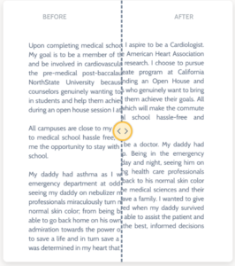 essay editing
