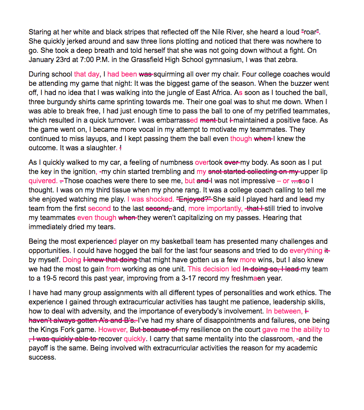 College application essay writing service name