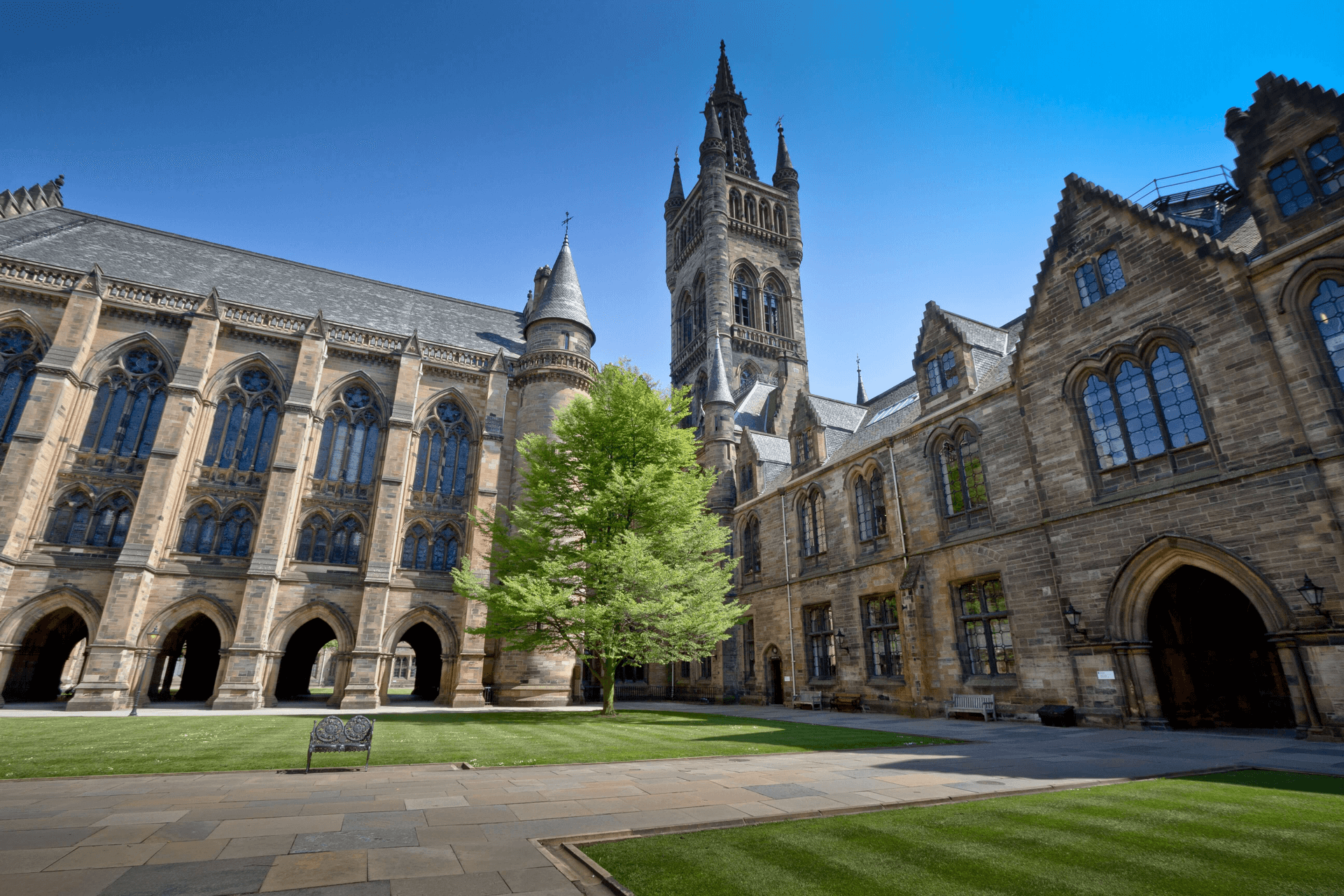 Harvard divinity school admissions essay