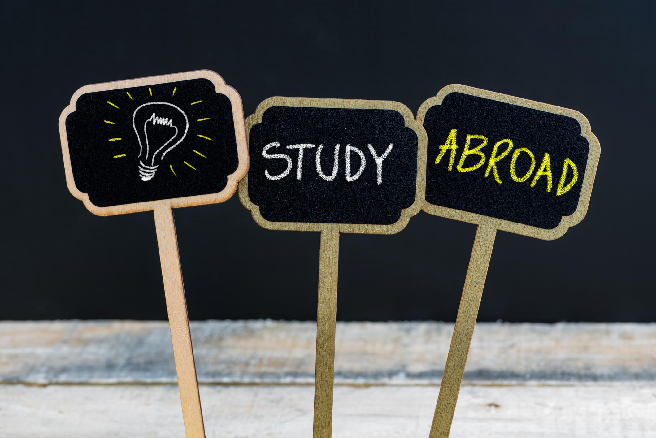 Adventures of an International Student - Study Abroad - EssayEdge