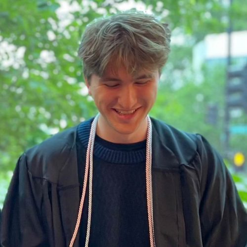 Essay editor online picture